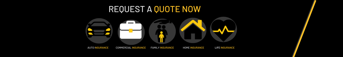 Insurance Banner life, auto, home, commercial
